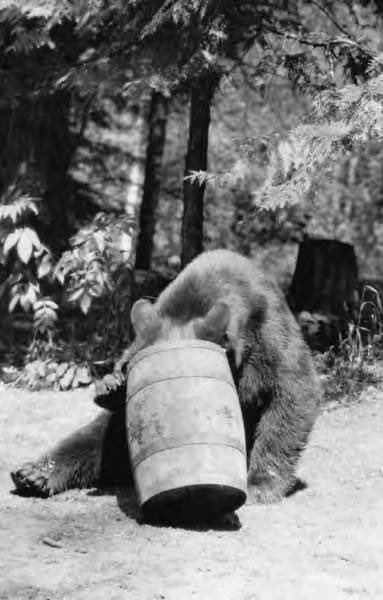 1926 Live tweet media