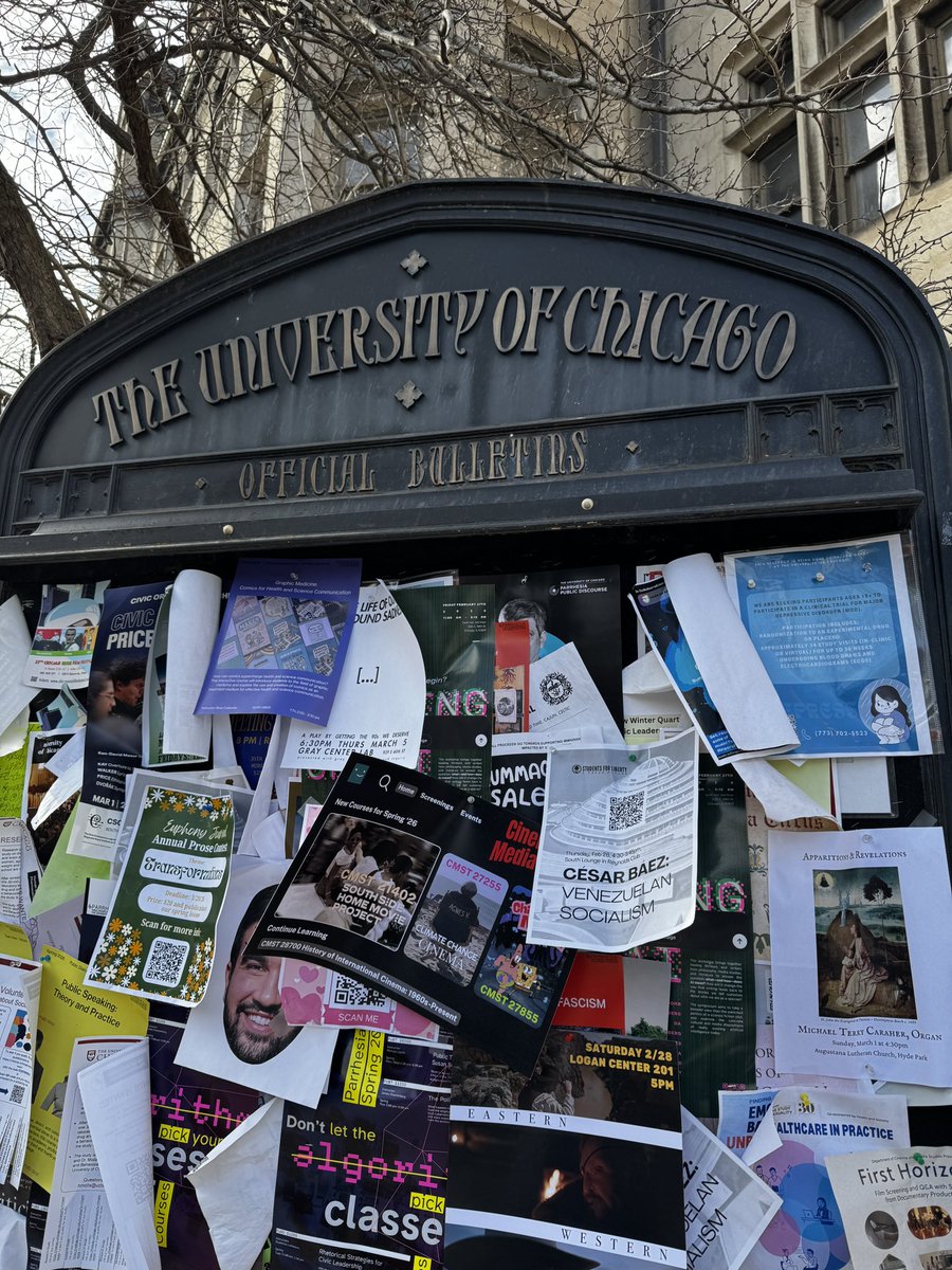 César Báez tweet media