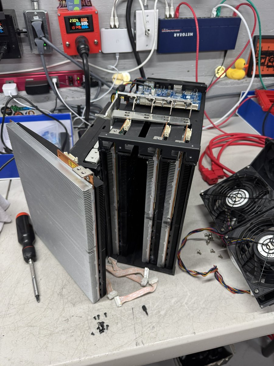 Red Panda Mining tweet media