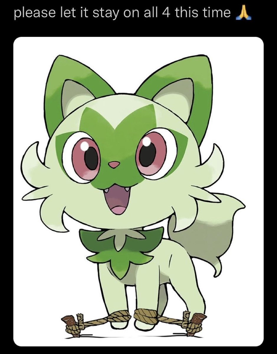 TheCheapest tweet media