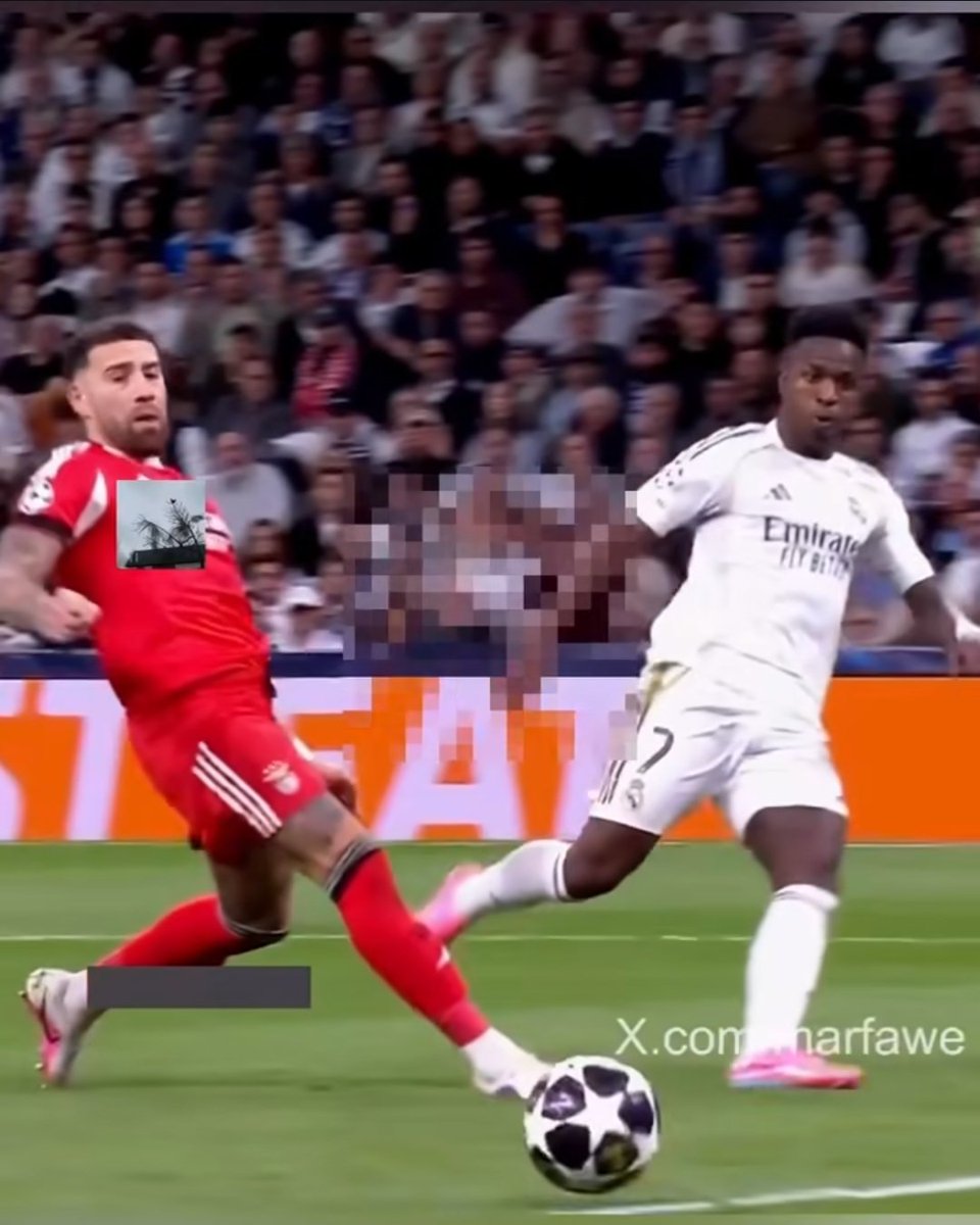 DogWithPawsUp tweet media