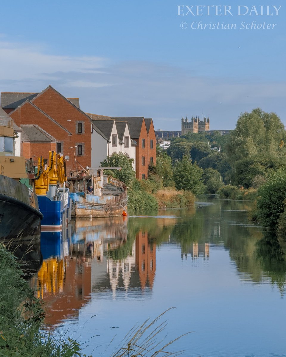 Exeter Daily tweet media