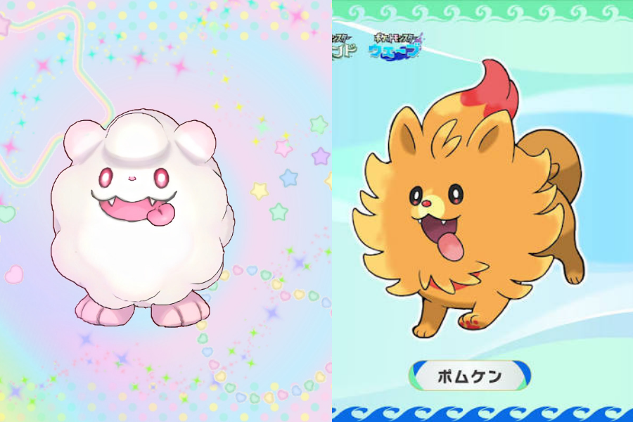 sugarymagical's tweet image. 🥹 I knew that face was familiar.....

Welcome back, fire Swirlix 🩷
#Pokemon #Pombom #Swirlix