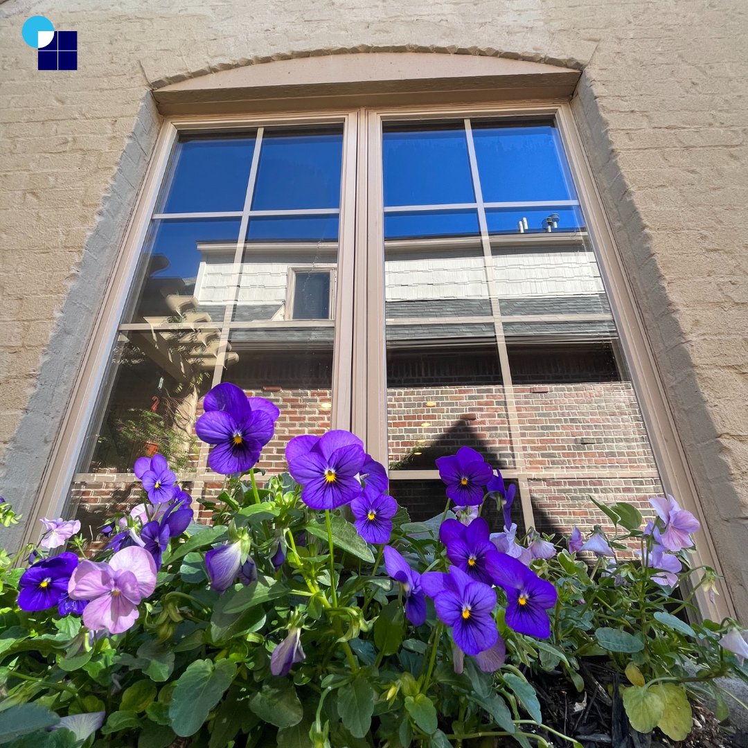 Better View Window Cleaning tweet media