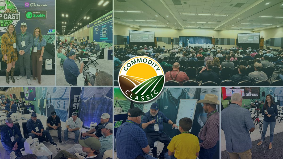 BW Fusion tweet media