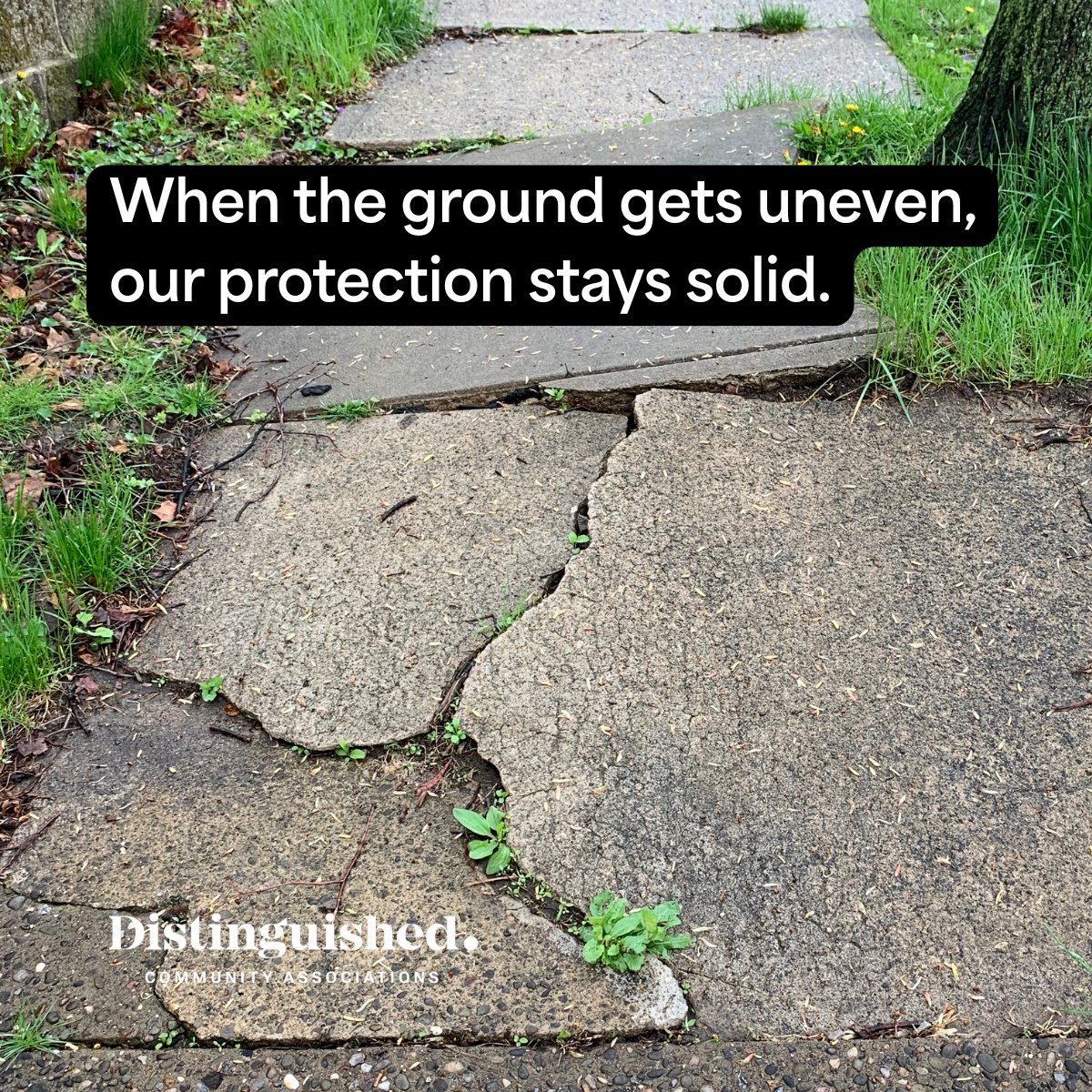 DistinguishedPG's tweet image. One missed slip-and-fall exposure can turn into a million-dollar claim.

Our Community Associations insurance offers essential financial protection when its needed most.

Learn more about our program: hubs.li/Q043RBX30

#communityassociation #hoainsurance #insurancecoverage