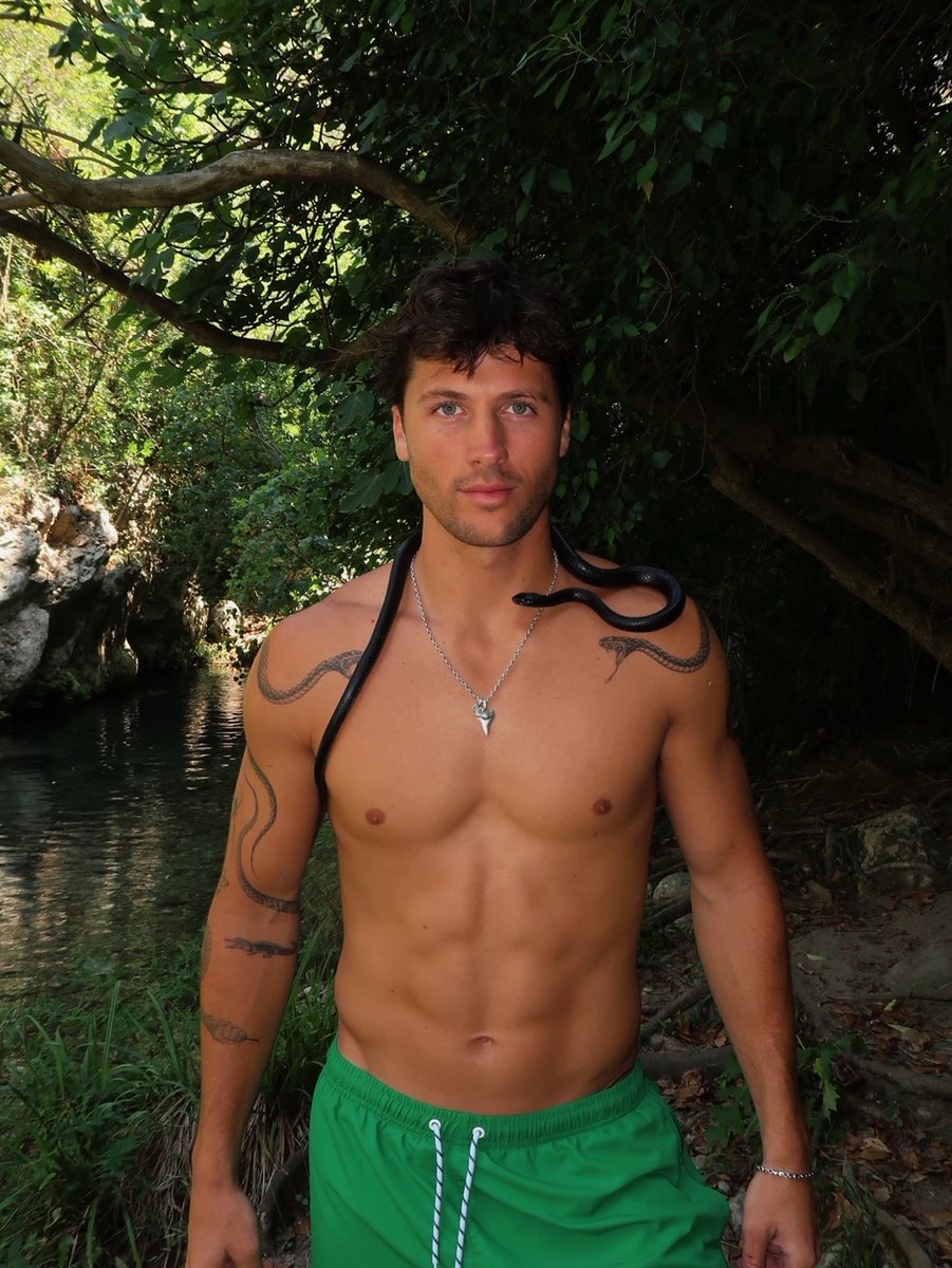 SEXY PEOPLE FOR THE WIN #TheTraitorsUS