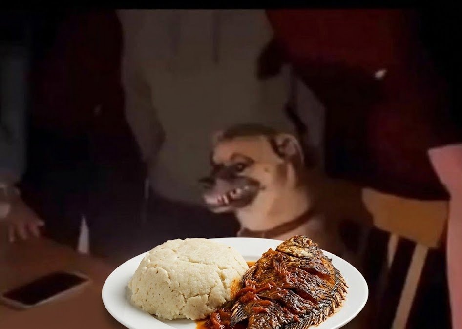 Mbwa nation
Mnakula nini leo?