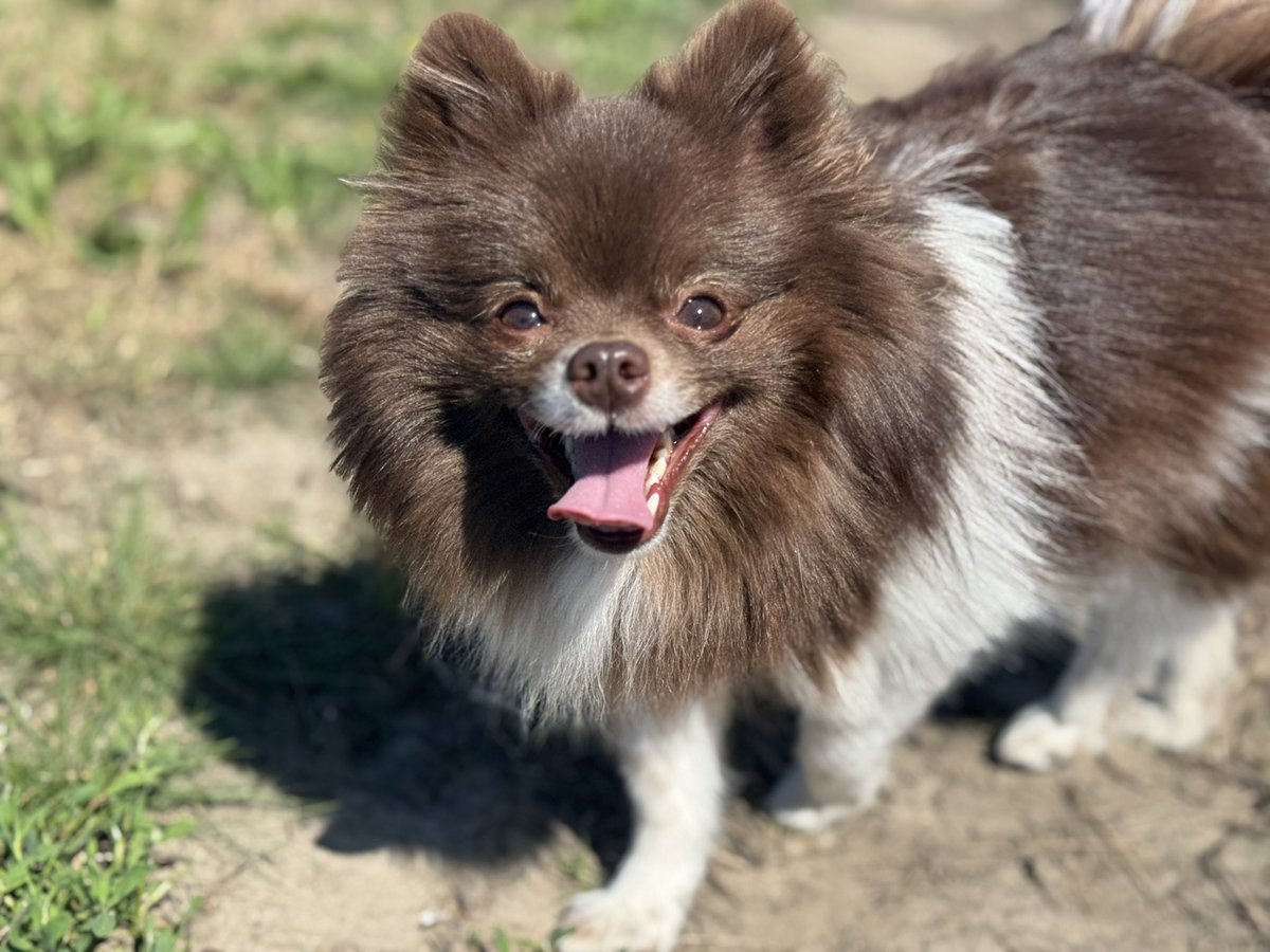 Nayami 🍑 @DOKOMI | LIGHTMOTIF tweet media