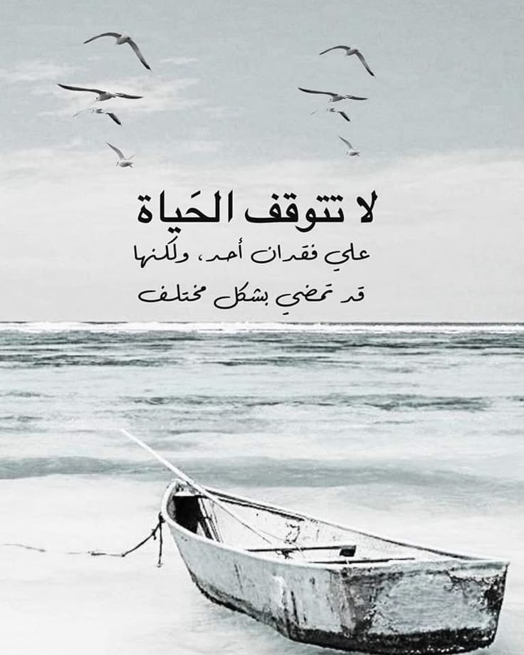 🌷رهف 🌹🌹 tweet media