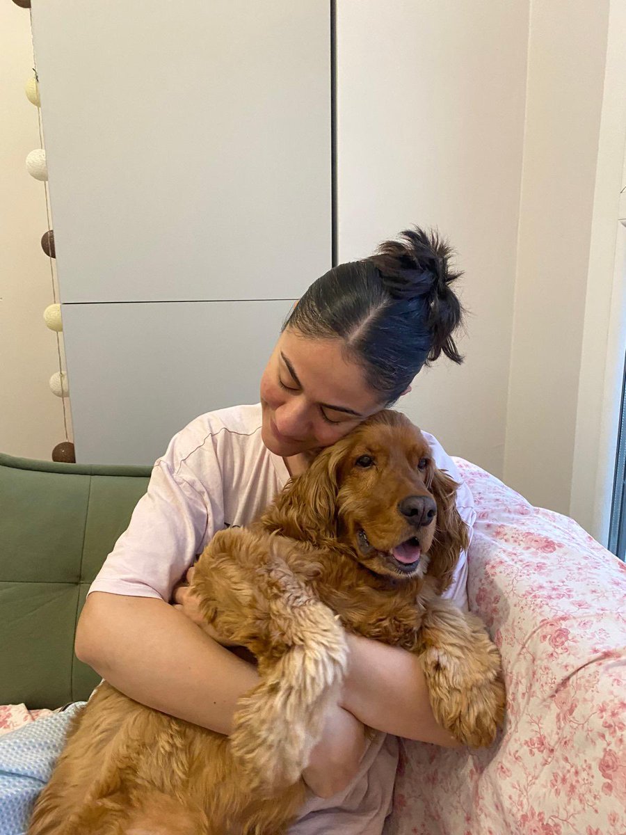 AlvinileBüş #yasayıgeriçek tweet media