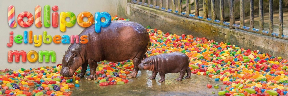 Crypto Meme Creator tweet media