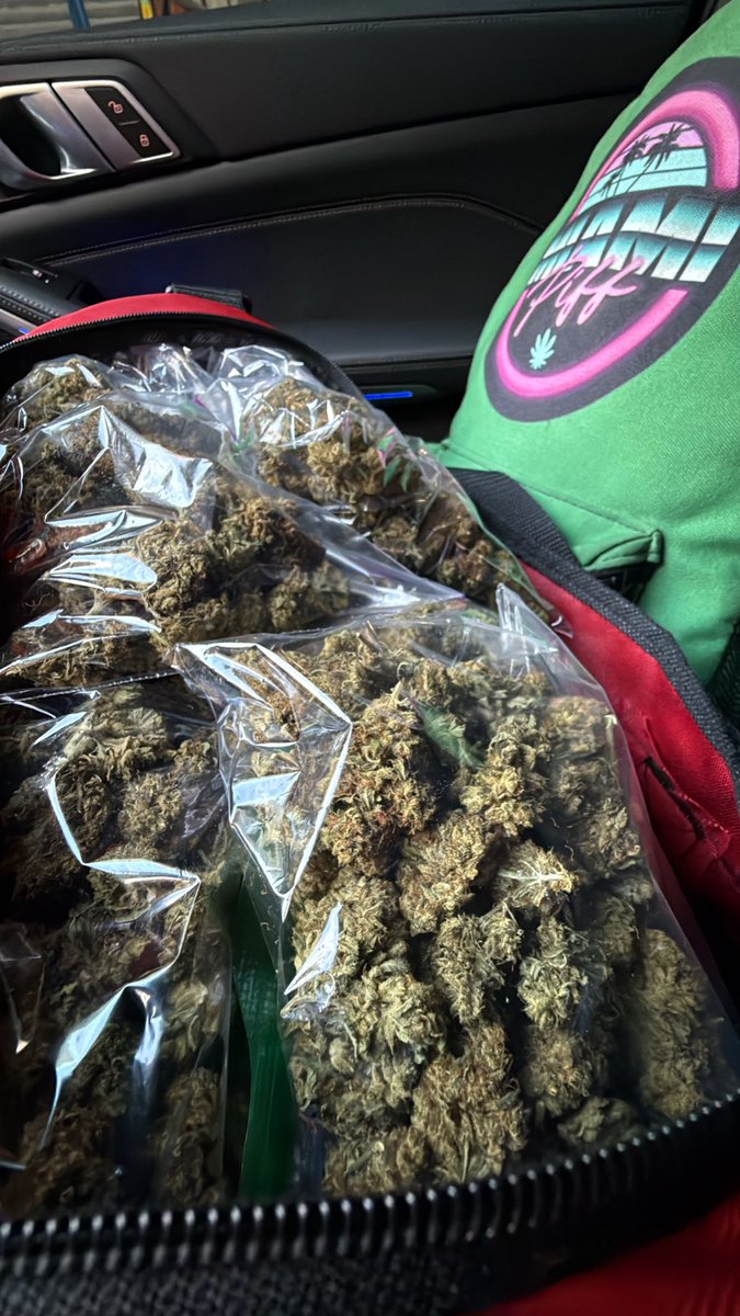 305 PIFF tweet media