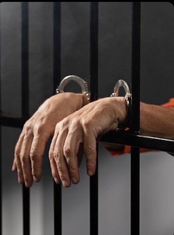 (Parody)Elon Musk tweet media