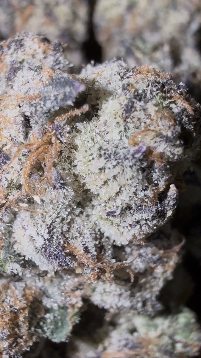 Pick-A-Zip tweet media