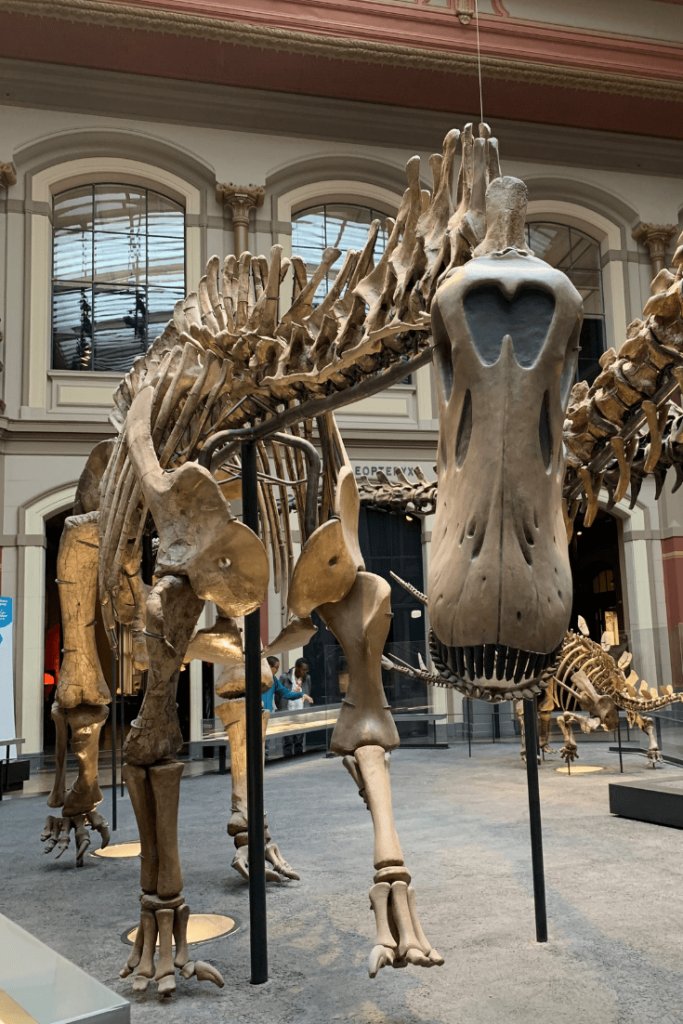 _Patagotitan_'s tweet photo. Yooo, what is wrong with those humans... i think i gonna throw up 🤢 https://t.co/QSoXs7NbYy