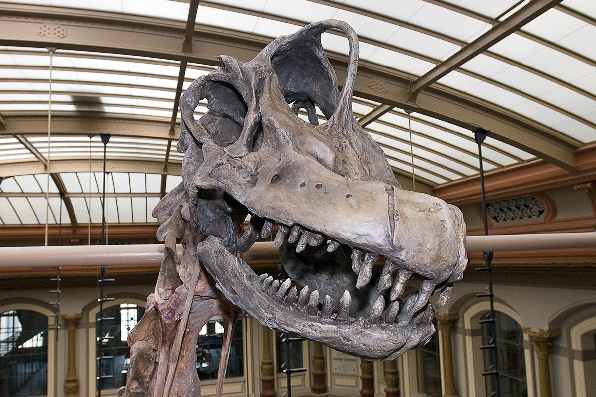 _Patagotitan_'s tweet photo. Yooo, what is wrong with those humans... i think i gonna throw up 🤢 https://t.co/QSoXs7NbYy