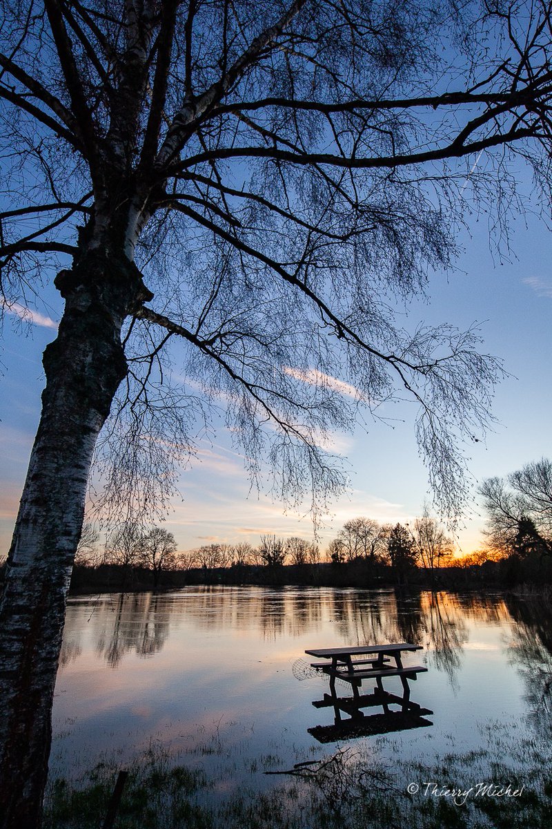 Thierry michel photographie tweet media