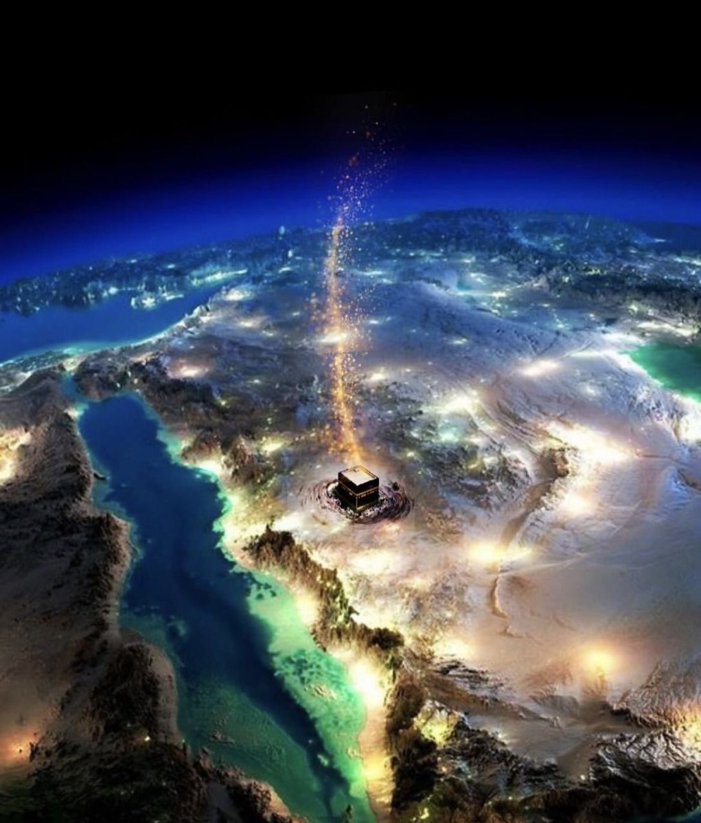 بانوکاشانی tweet media