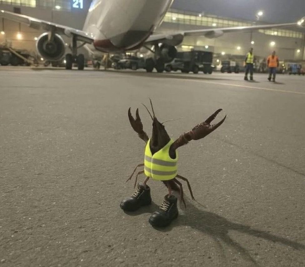 vapewhoreon🛸 tweet media