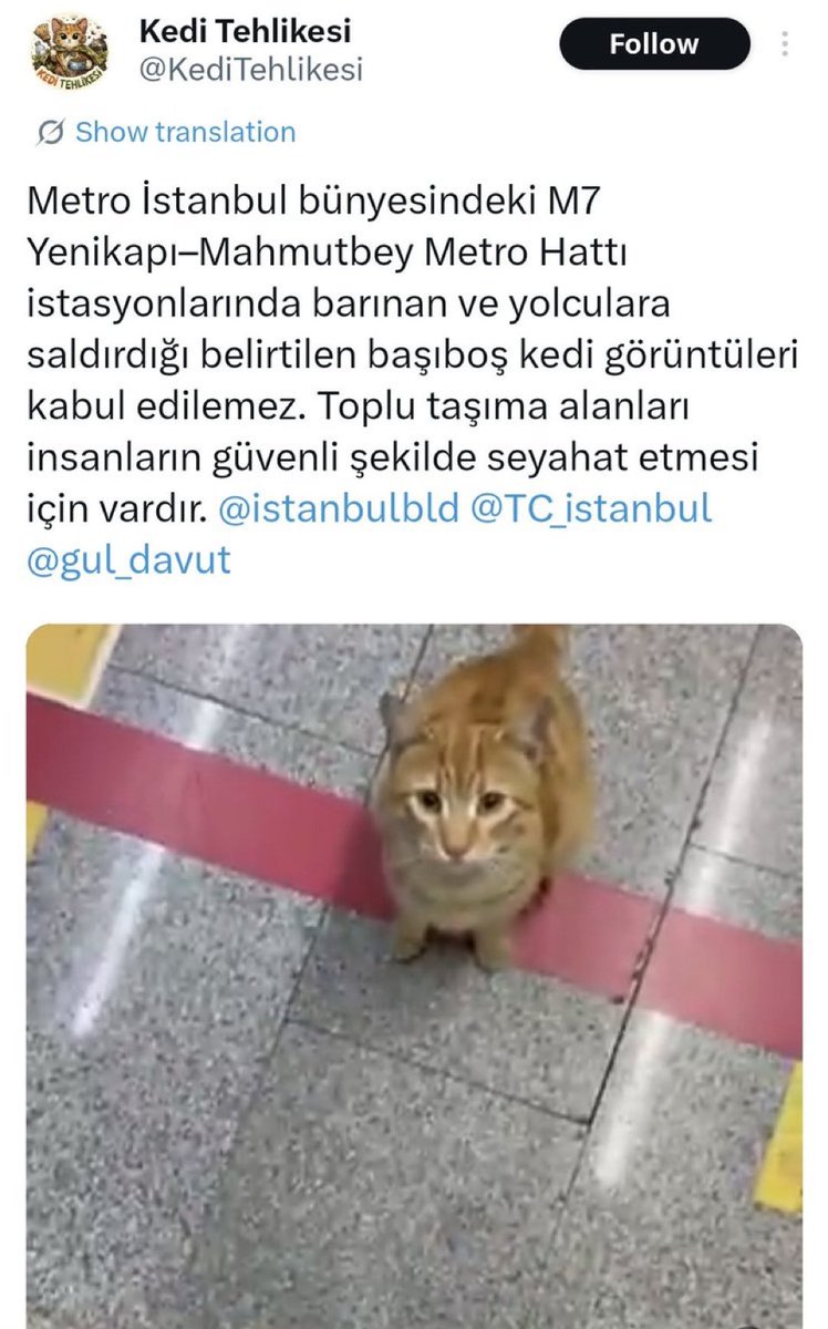 Bu kediciği “güvenlik sorunu” diye hedef gösteren ahlaksızlar yüzünden dün yavru bir kedi parçalanarak öldürüldü! Kimbilir görmediğimiz duymadığımız kaç hayvan acımasızca katledildi! 

Hayvan düşmanlarını üzerimize salanlar,  elbet devran dönecek…