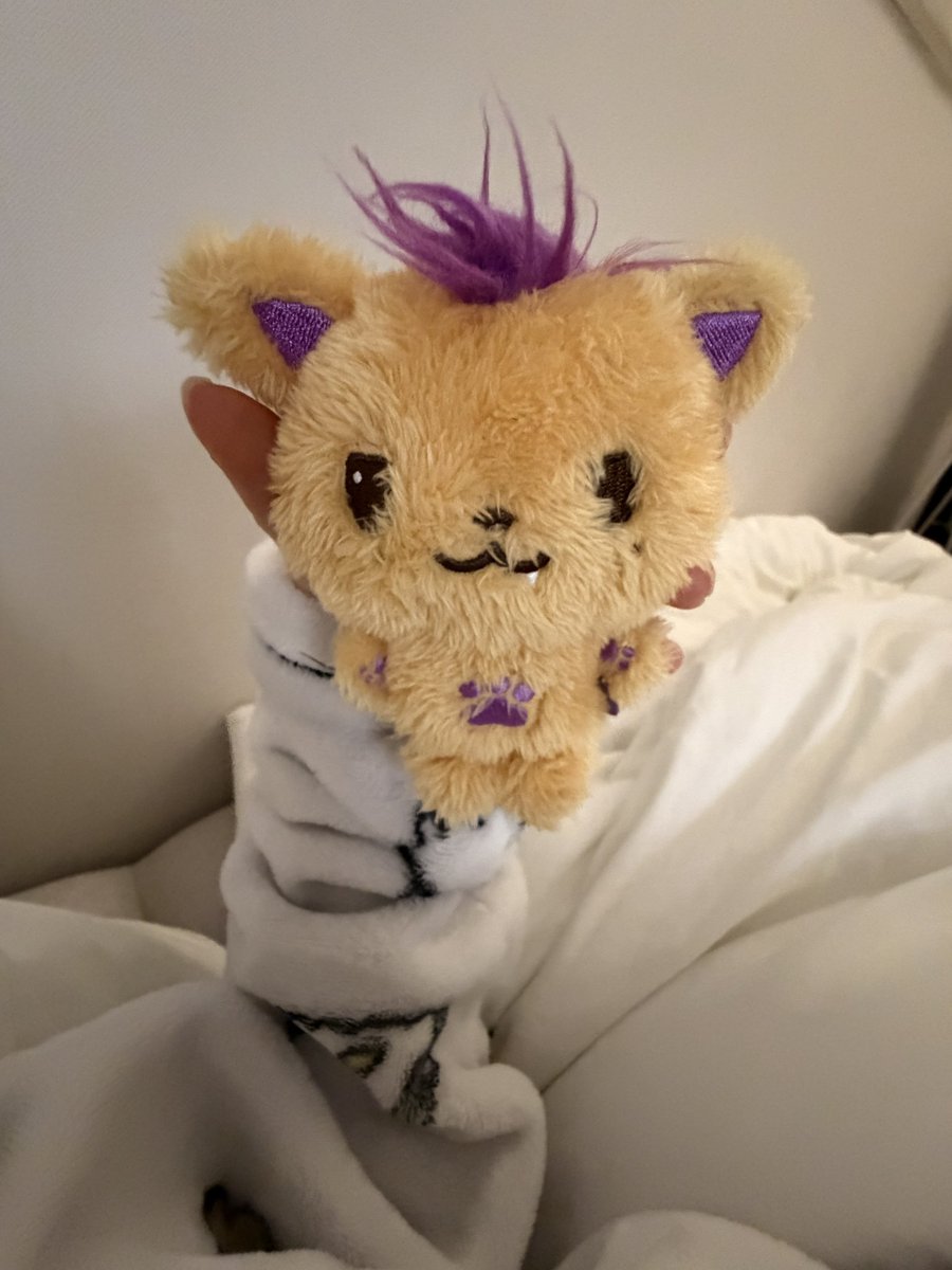 👩🏻‍❤️‍💋‍👩🏼 tweet media