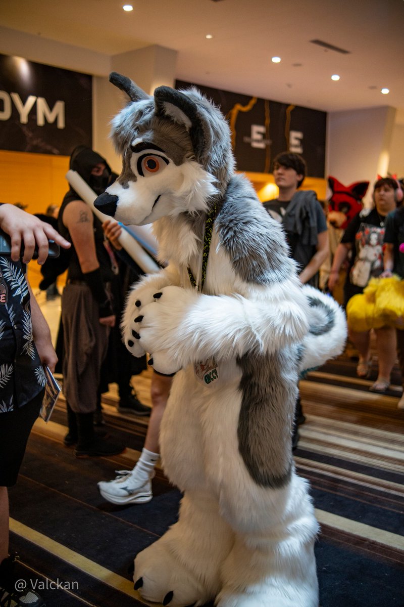 Erik Volkov tweet media