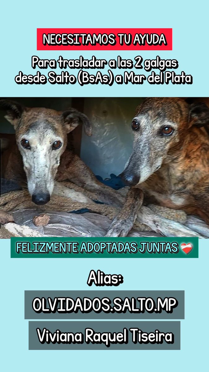 #URGENTE ‼️ ya tenemos adopción conjunta pero necesitamos cubrir el traslado que sale $200.000 
Gracias a todosssss estamos Felices ❤️❤️❤️❤️ gracias Marcelo por adoptar a la mami y a la hija!!!
🙌🙌🙌💘🙌💘🙌💘