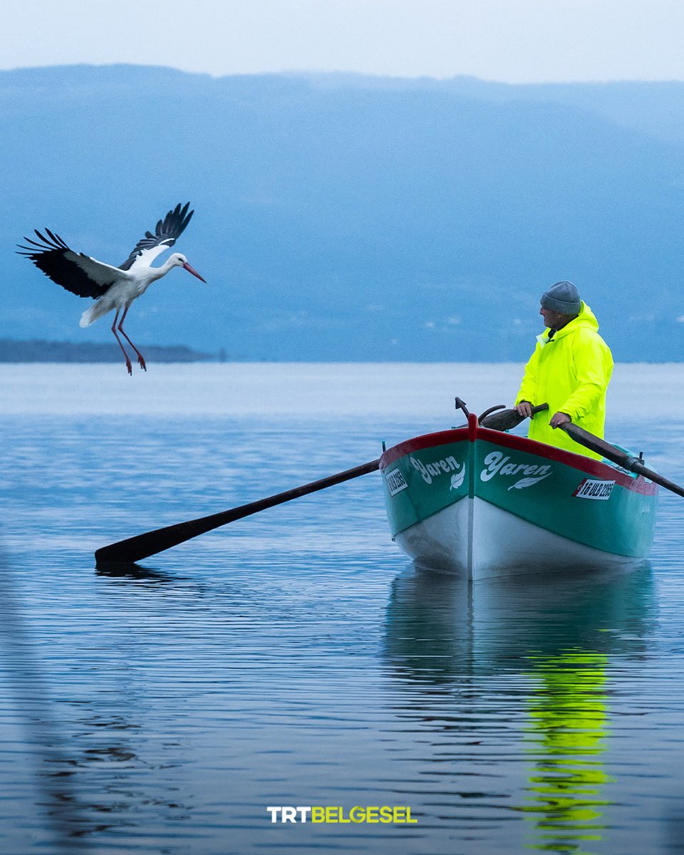 Adem amca ile Yaren leylek, 15. kez buluştu. 💖
Bursa’nın Karacabey ilçesinde yaşayan balıkçı Adem Yılmaz ile kurduğu dostluğuyla gönüllerde taht kuran Yaren leylek, Uluabat Gölü’nün kıyısında yer alan Eskikaraağaç köyünün simgesi oldu. 🐦
📸: Alper Tüydeş, AA
