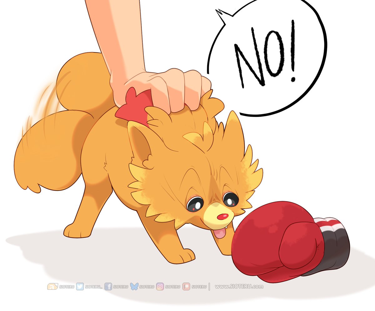 Sio 🦌🛸 @FE tweet media