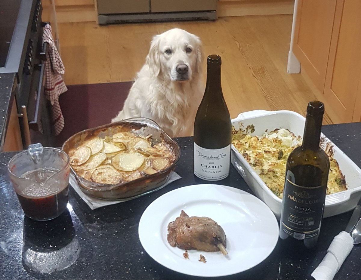 John Nichol ✈ tweet media