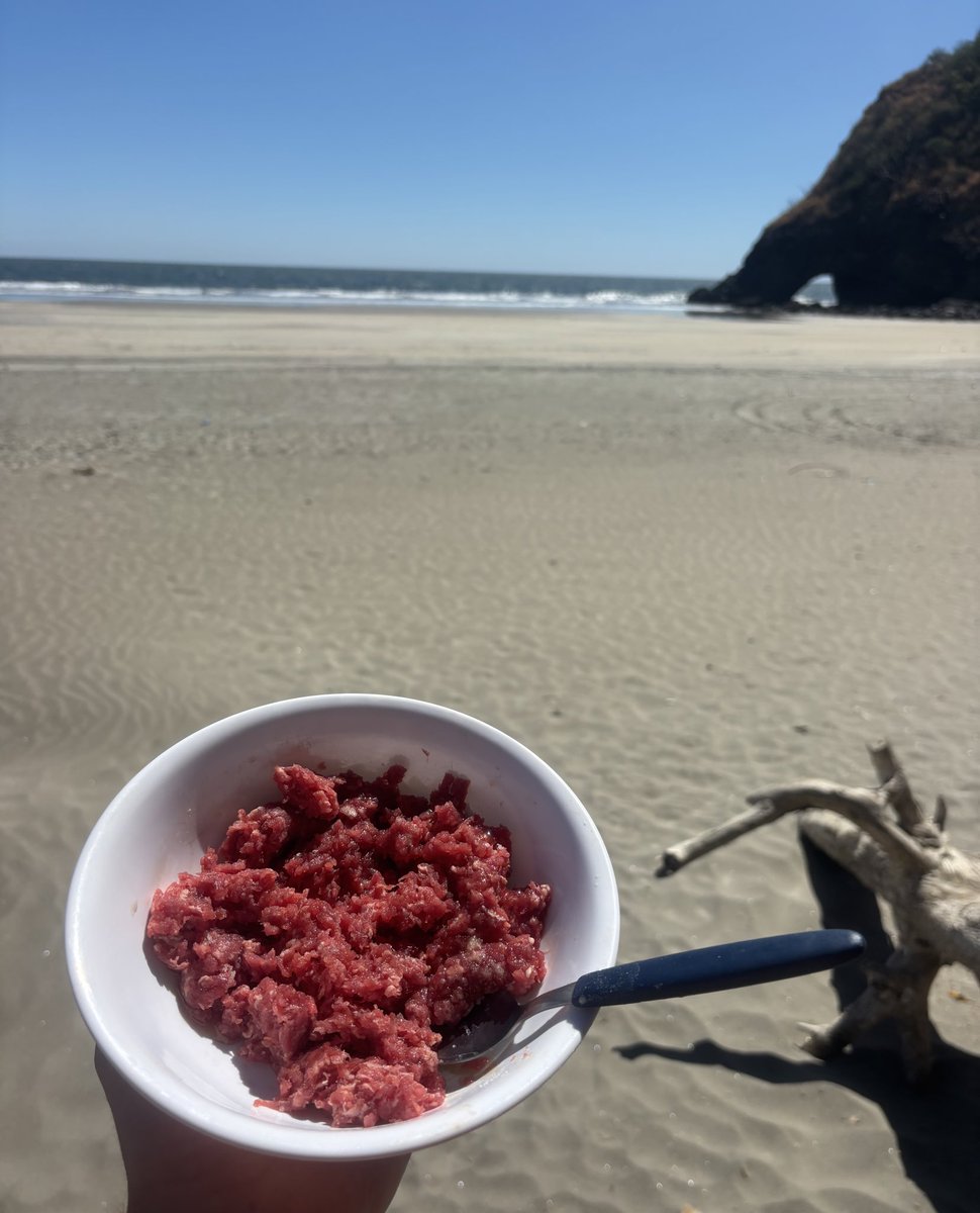 Riley Check tweet media