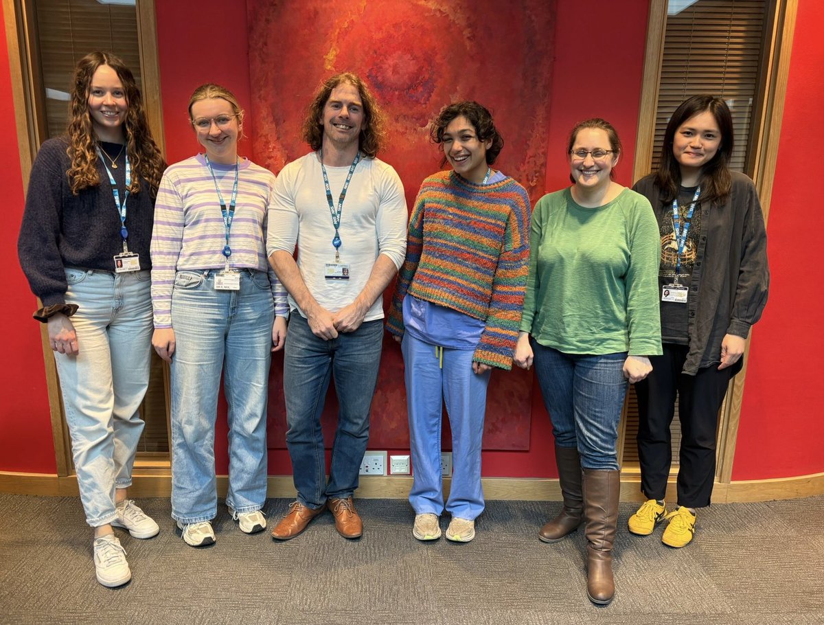 andi roy tweet media