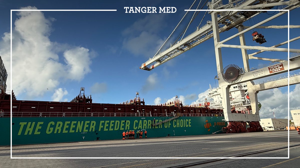 TANGER MED tweet media