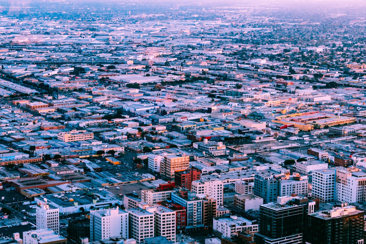 Leah Berman tweet media