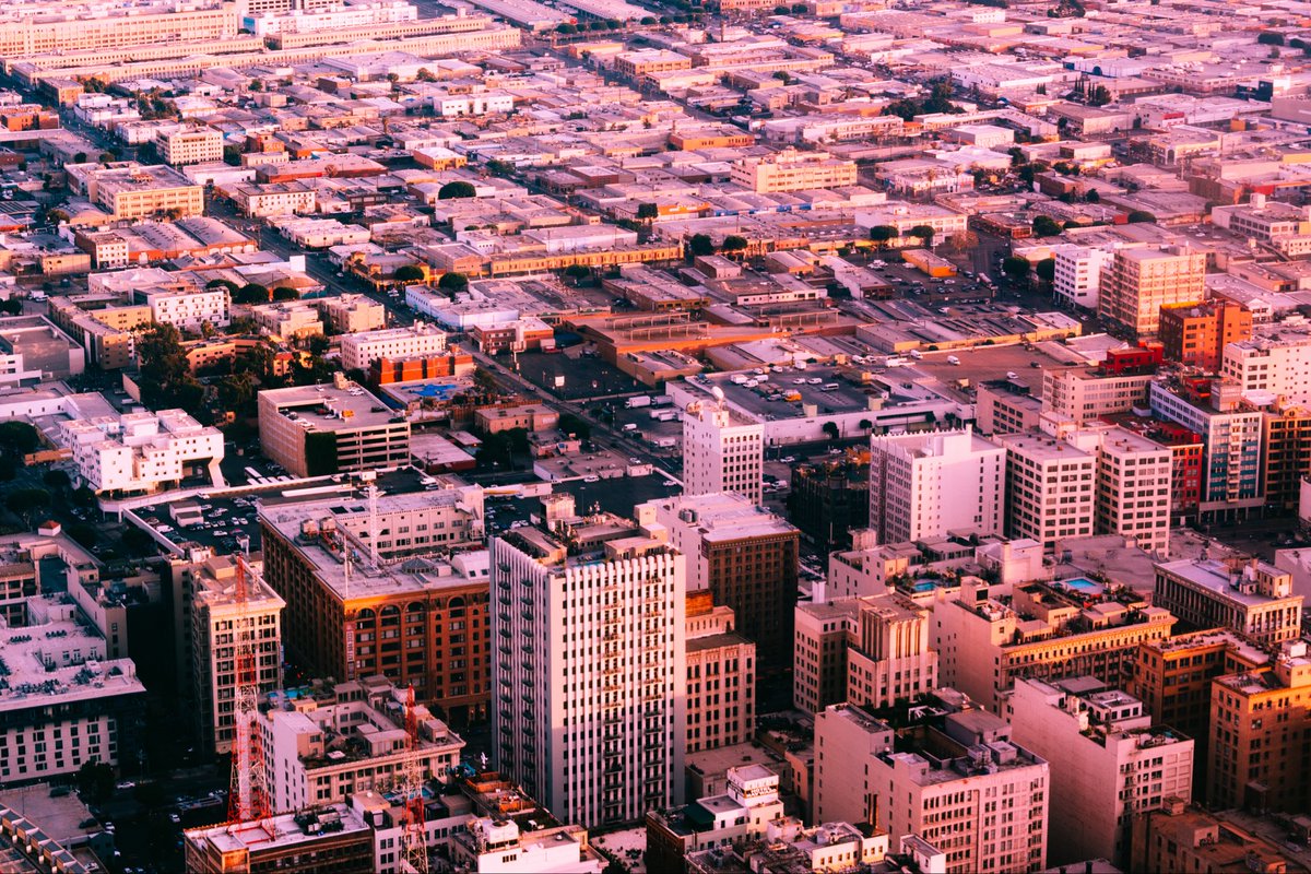 Leah Berman tweet media