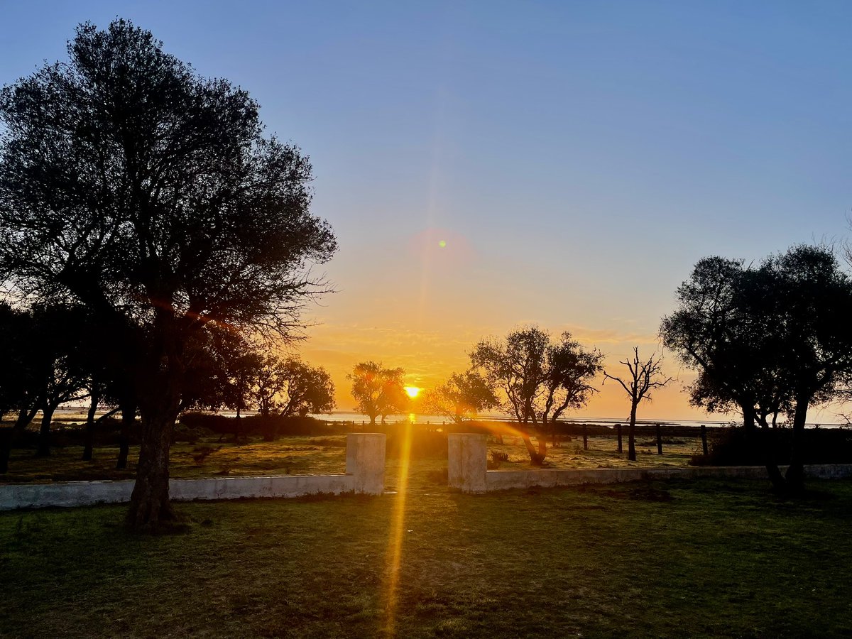 Elisa Pérez-Ramírez tweet media