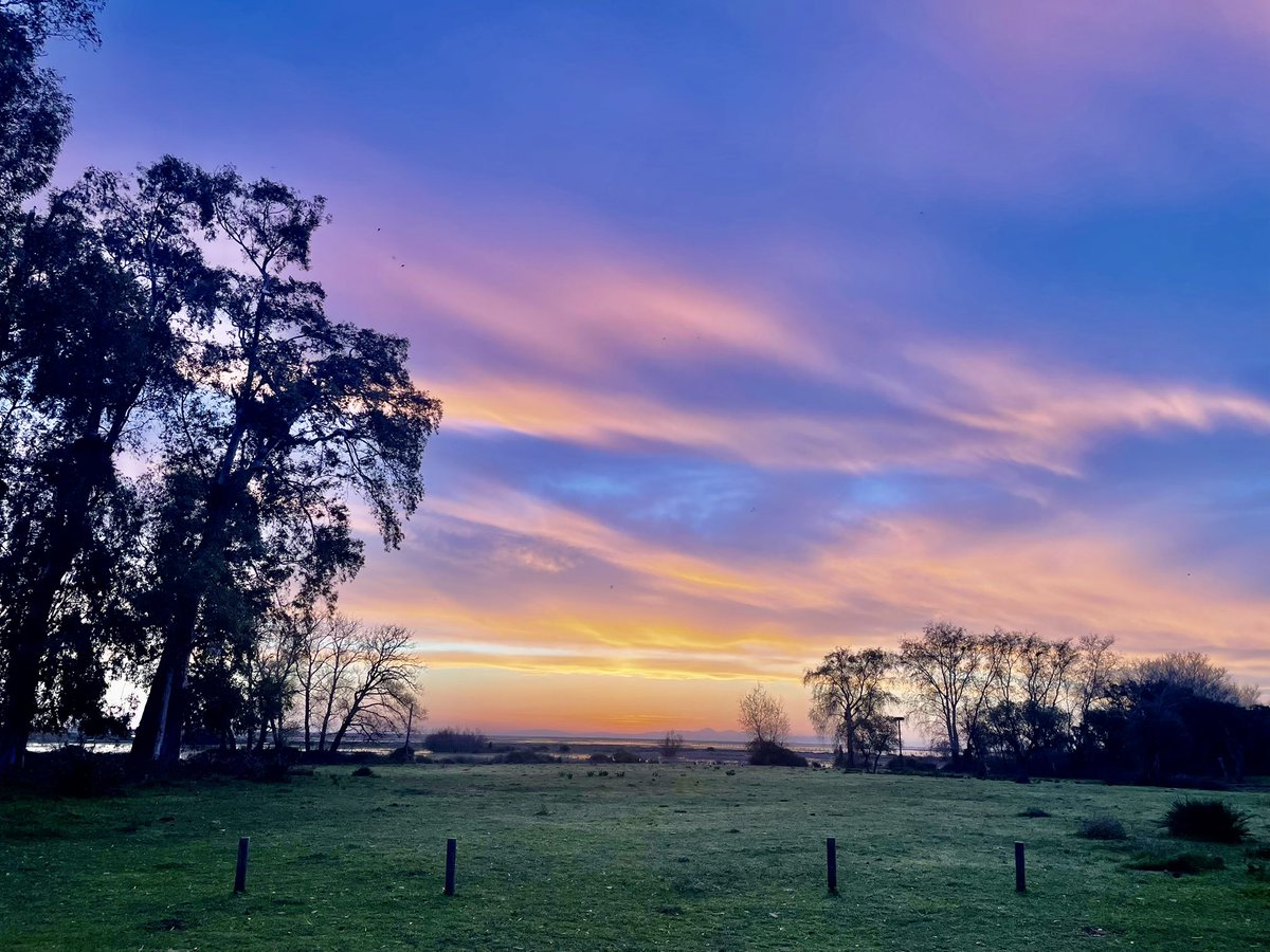 Elisa Pérez-Ramírez tweet media