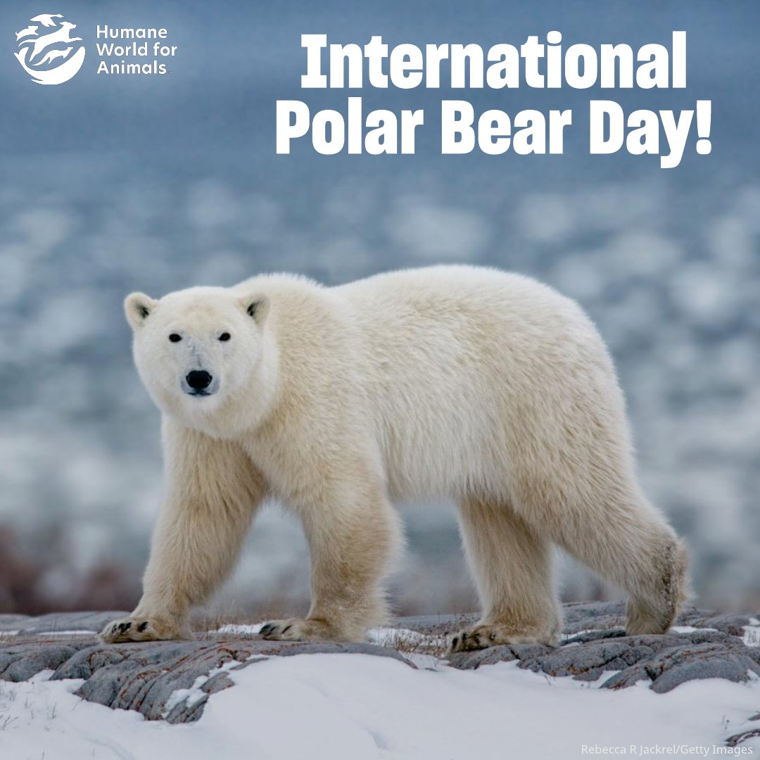 Humane World Farm Animals tweet media