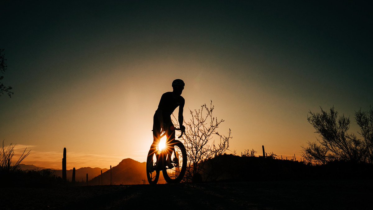 LOOK Cycle tweet media