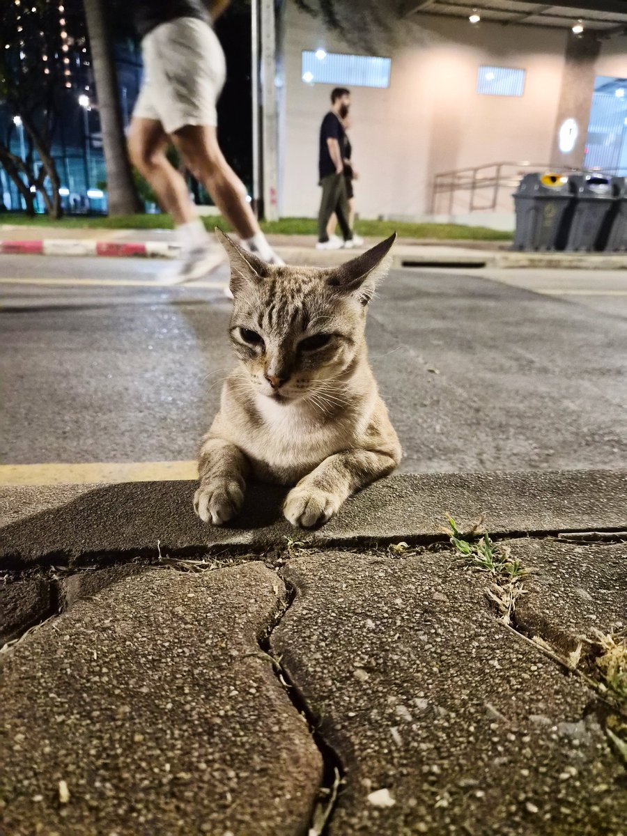 มีคนมาขอใช้รูปน้องเป็นรูปเพขสุขภาพด้วย 😆😆