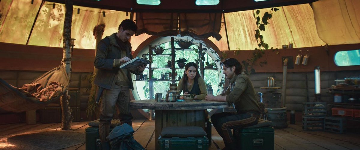 echo artists tweet media