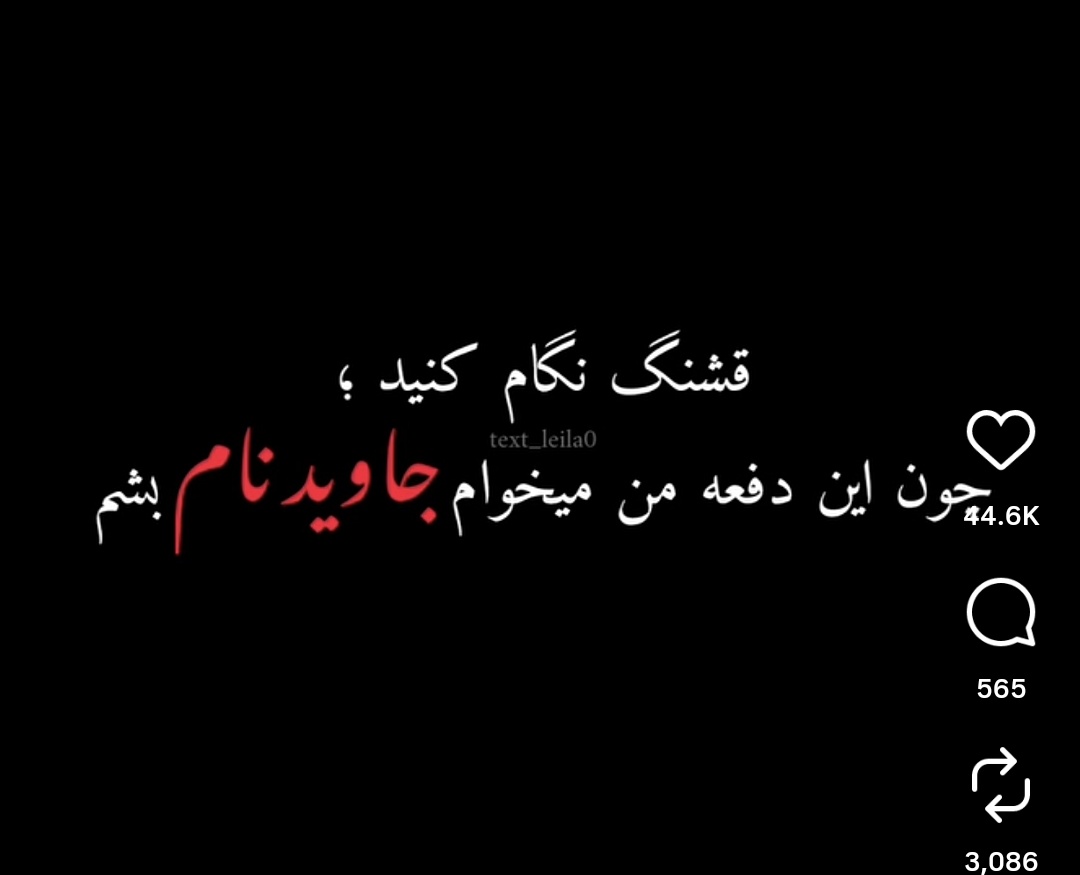 پاندآ🐾 tweet media