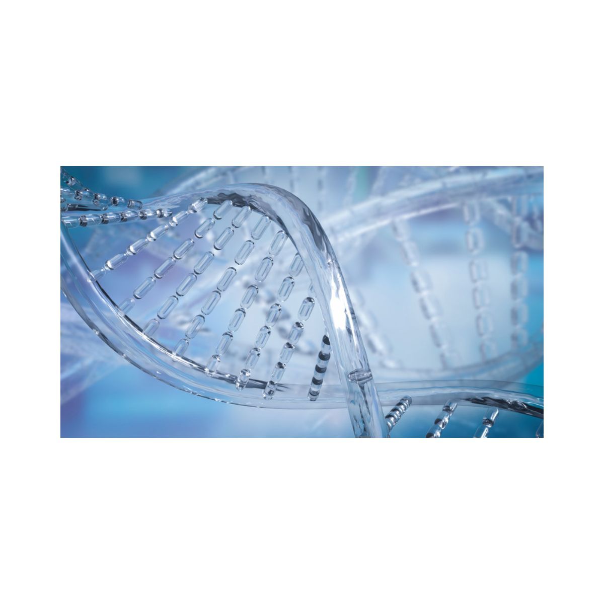 Nixon Benefits tweet media