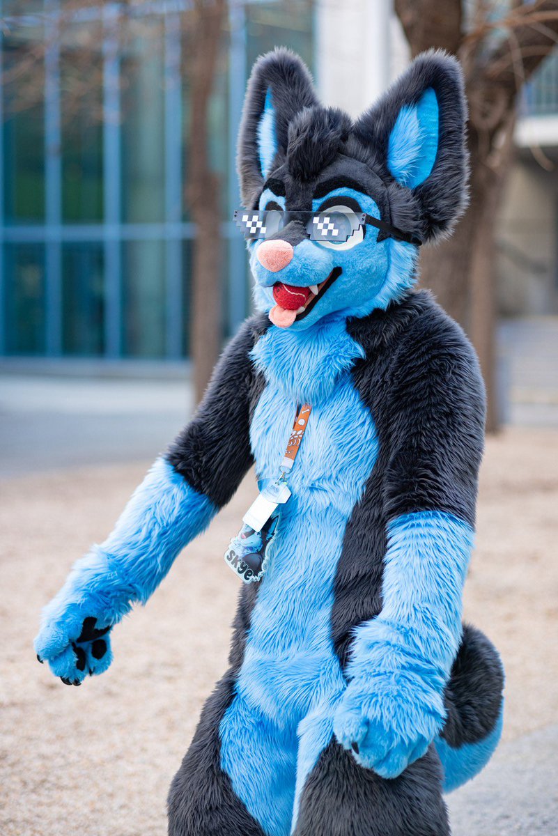 Skye The Husky 🔜 MEGAPLEX tweet media