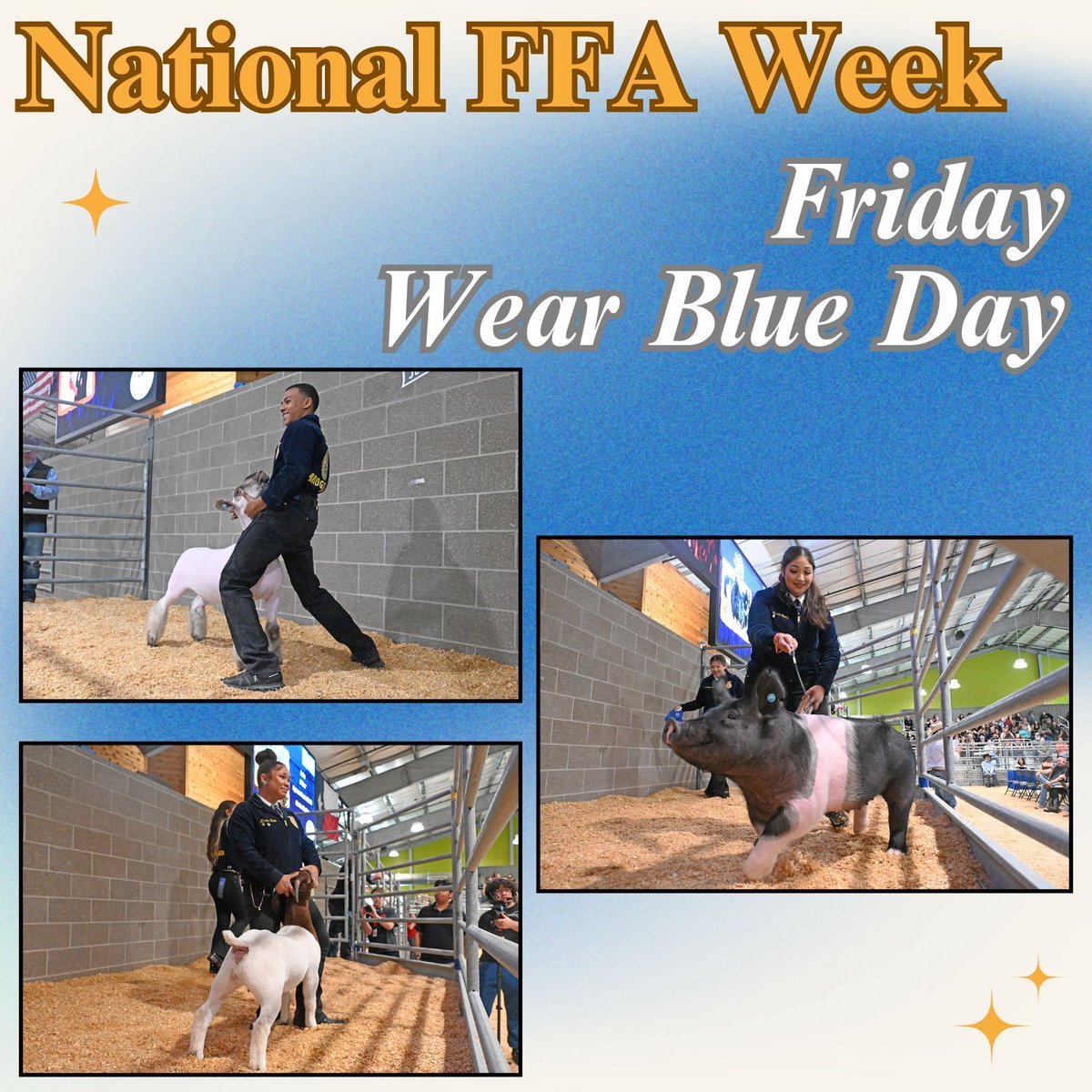 CFISD Livestock Show tweet media