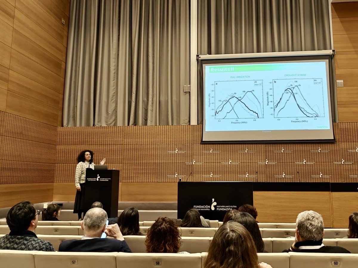 lolafarinas's tweet image. 🥑Glad to attend XVII Symposium on Plant Water Relations

I presented our work on using NC-RUS to monitor #avocado trees in the field. Our findings highlight #ultrasonic parameters as a sensitive proxy for leaf water status even during near-isohydric behavior 

#Multidisciplinary