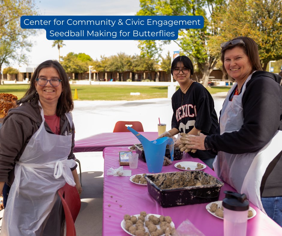 Mesa Community College tweet media