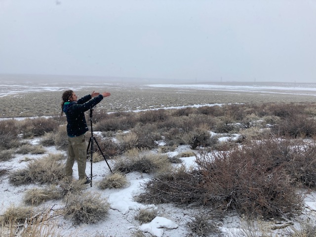 Bureau of Land Management California tweet media