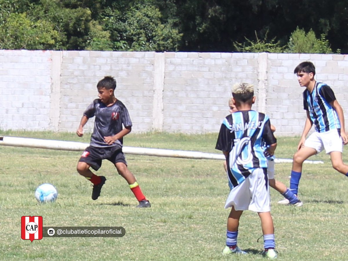 Club Atlético Pilar Oficial tweet media